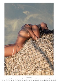 Calendario-Polly-202613