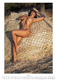 Calendario-Polly-20266